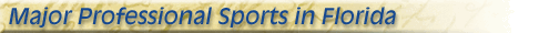 florida professional sports teams