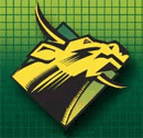 usf bulls