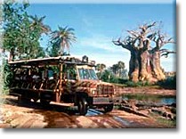 animal kingdom