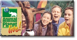 animal planet